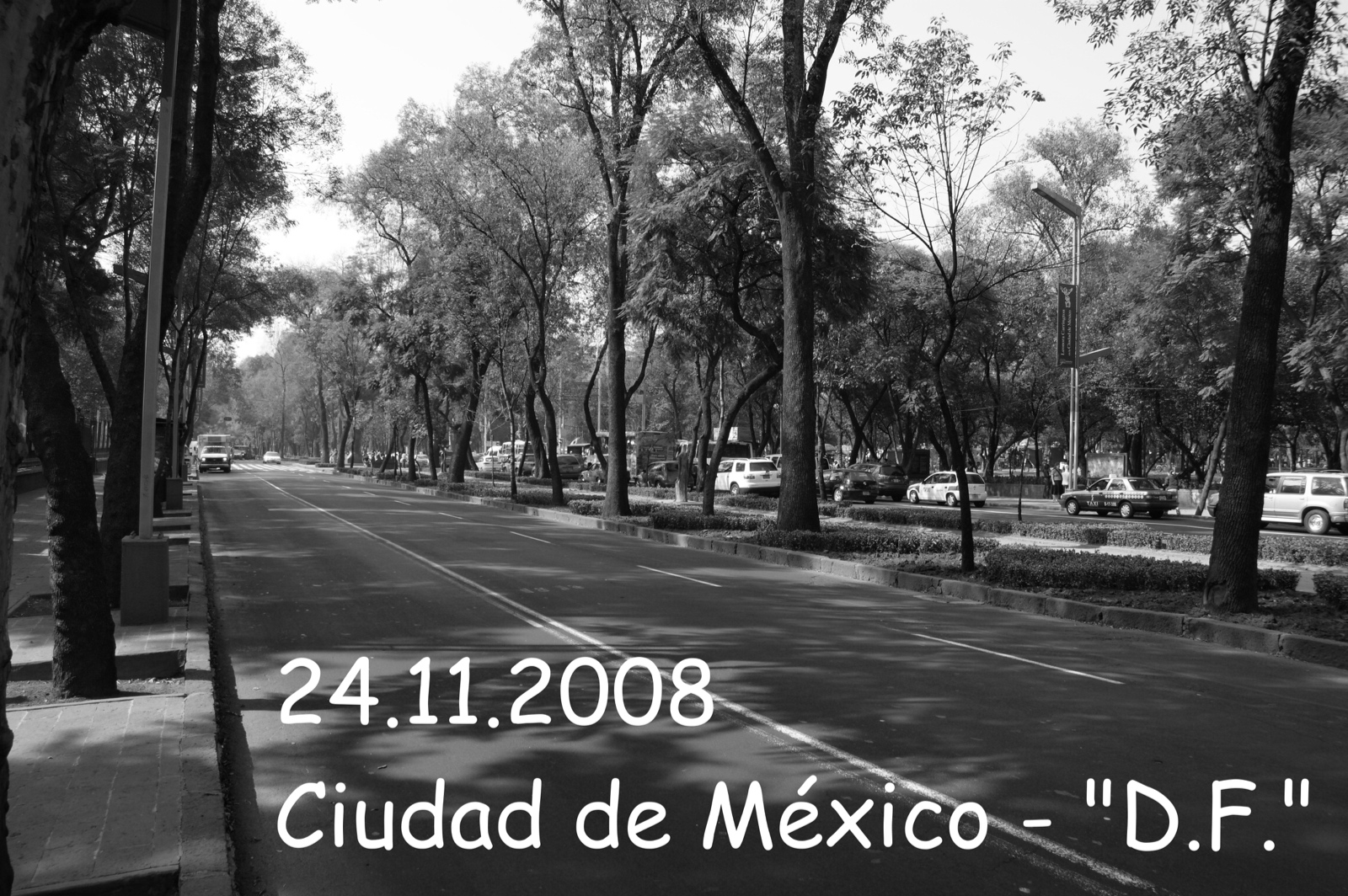 476 dsc01812aMexicoDF